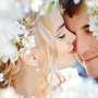 В Крыму полным ходом идёт свадебный сезон