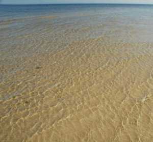 Пляжи Евпатории предложили восстановить песком с морского дна