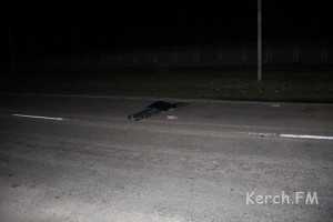Водитель, насмерть сбивший пешехода в Керчи, был пьян