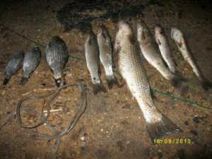 Крымские рыбинспекторы «выловили» троих браконьеров