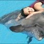 В Алуште открывают центр дельфинотерапии
