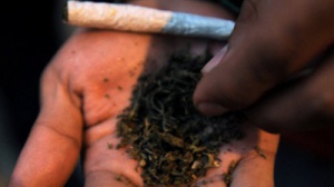 Юному крымчанину грозит 10 лет колонии за торговлю марихуаной
