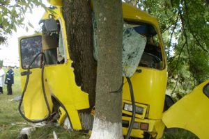 На Черкасщине автобус врезался в дерево:16 человек пострадали