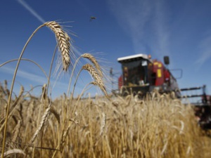 В Крыму выявили 2,1 тыс. га незаконно используемых сельхозземель
