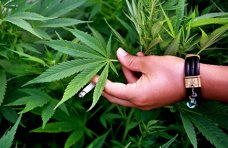 В Бахчисарае задержали торговца марихуаной