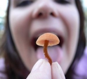 Три жителя Крыма отравились грибами