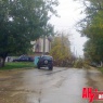 В Керчи огромное дерево рухнуло на дорогу, едва не прибив авто