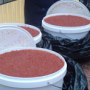 На переправе в Керчи пограничники изъяли 30 кг красной икры