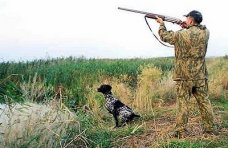 За нарушение правил охоты в Крыму оштрафованы 95 человек