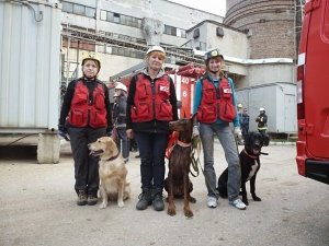 В Севастополе спасать людей помогают собаки