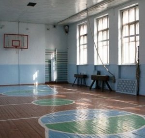 Главу администрации Севастополя попросили избавиться от директора детских клубов