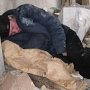 В Столице Крыма бомж забил до смерти приятеля