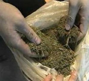 Пограничники изъяли на востоке Крыма почти три килограмма марихуаны