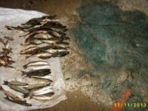Браконьеры наловили рыбы в Крыму на 13 тыс. гривен