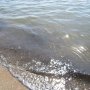 В морской воде возле Керчи экологи нашли превышение нефти и железа