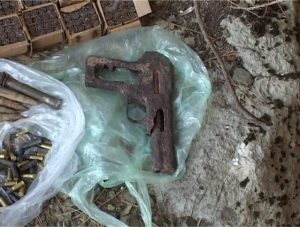 Крымский грибник обнаружил в лесу целый арсенал оружия