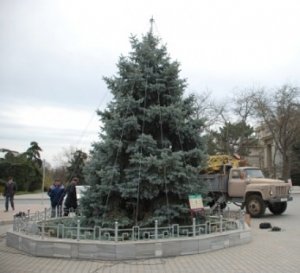 В Евпатории начали наряжать главную городскую елку