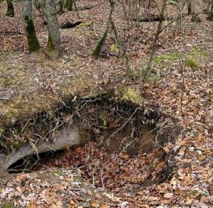 На могильниках и городищах в Крыму не нашли свежих следов незаконных раскопок