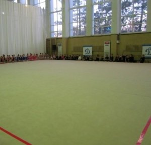 В Симферополе в гимнастическом зале «Динамо» появился уникальный ковер