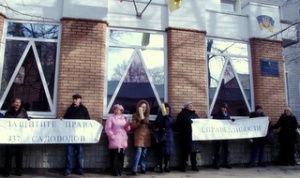 В Столице Крыма садоводы вышли против крымских судов
