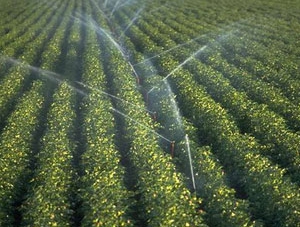Сакских фермеров обвиняют в хищении воды более, чем на 2 миллиона гривен