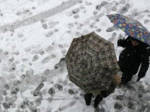 В понедельник в Крыму ожидают снег