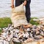Крымских рыбаков-нарушителей за год наказали штрафом на 80 тыс.