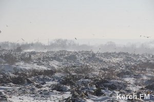 В Керчи, несмотря на снег и мороз, горит городская свалка