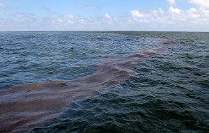 В море у Севастополя растянулось гигантское нефтяное пятно