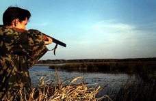 В Крыму охотники по ошибке отстреливают редких птиц, – орнитологи