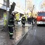Пожарные потушили горящее дерево в центре Севастополя