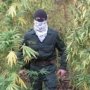 Силовикам в Крыму дали право служить в наркоконтроле