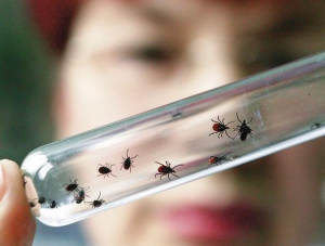 В Крыму выявили случай малярии