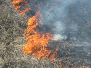За сутки в Крыму произошло 11 пожаров