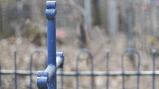 Милиция задержала в Крыму поселкового кладбищенского вандала