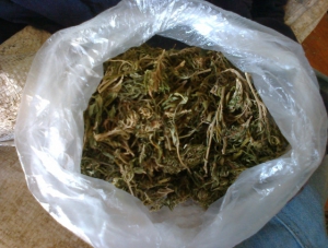 В доме крымчанина нашли марихуану