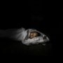 В селе в Крыму нашли пакет с мертвым младенцем