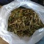 У крымчанина нашли 2 кг марихуаны