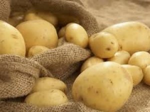 Украинскую картошку запретили ввозить в Россию