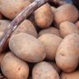 Ввоз украинского картофеля в Крым ограничат