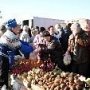 Россия выделила более 400 млн рублей на поддержку поселкового хозяйства в Крыму