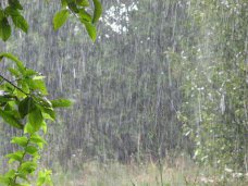 В Крыму на неделе снова дожди и грозы