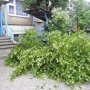 Штормовой ветер в Алуште повалил деревья и снес крыши домов