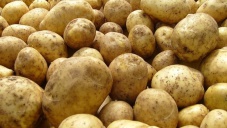 Украинский картофель в Крыму пообещали заменить картофелем из Беларуси