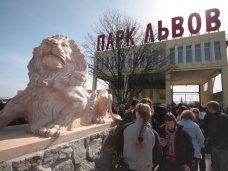 В парке львов «Тайган» возросла цена на входной билет