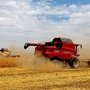 Крым намолотил 600 тысяч тонн зерна