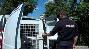 Симферопольские полицейские по «горячим следам» задержали грабителя