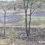 В Керчи горело поле