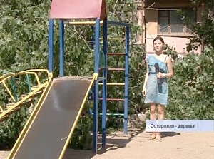 В Симферополе на детскую площадку упал тополь