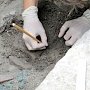 В Херсонесе найден клад — сотня монет 10 века